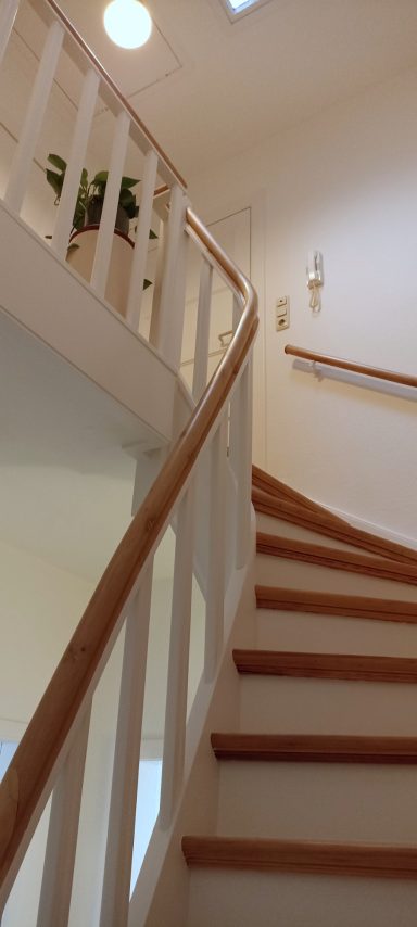 Detail Treppenhaus Renovierung Treppe und Treppenhaus